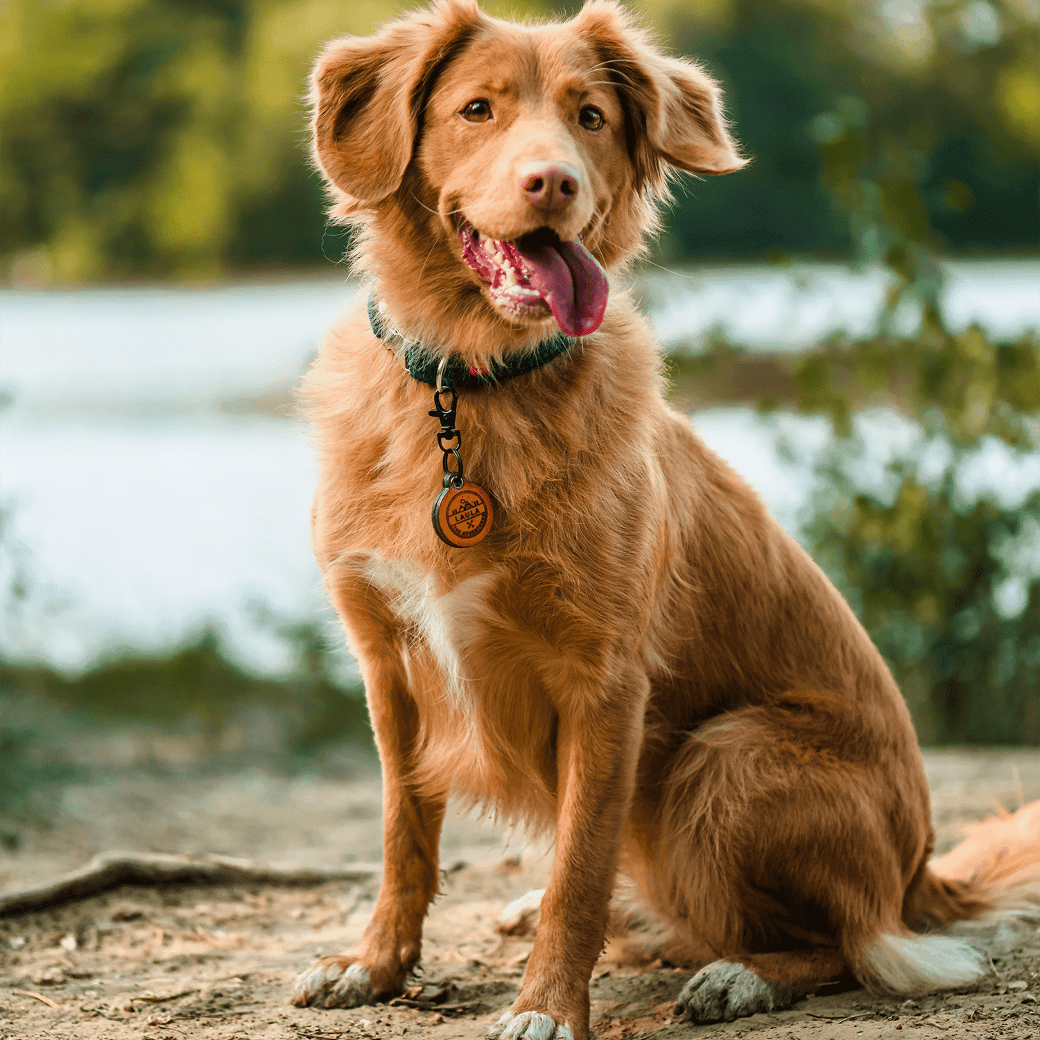 retriever original